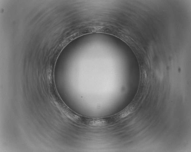 X0000053060274200508011922