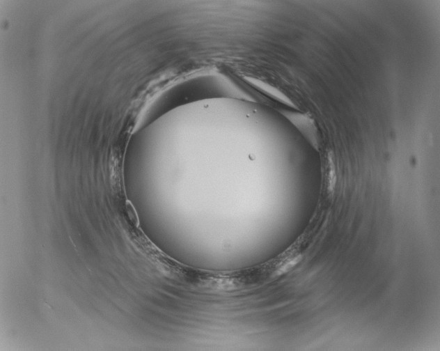 X0000053060276200508011922