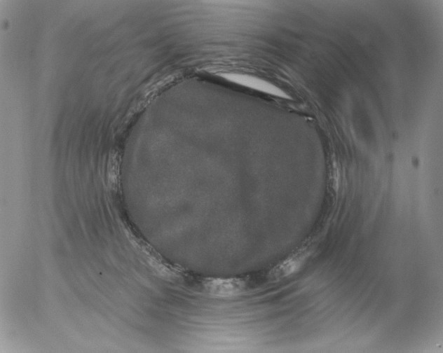 X0000053060277200508011922