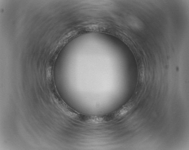 X0000053060278200508011922