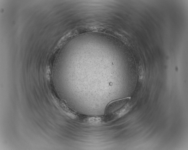 X0000053060279200508011922