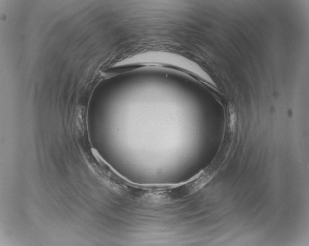 X0000053060280200508011922