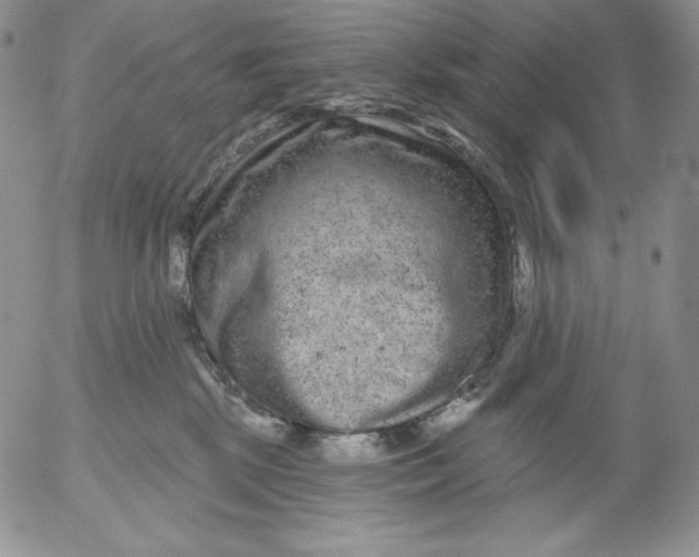 X0000053060281200508011922