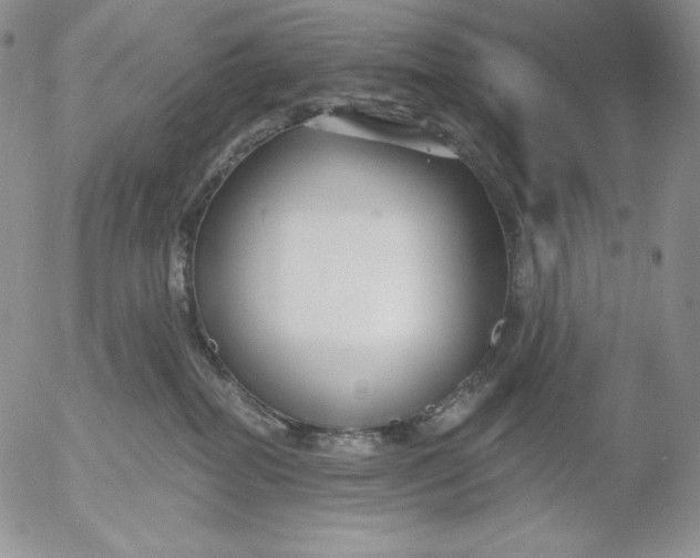 X0000053060282200508011922