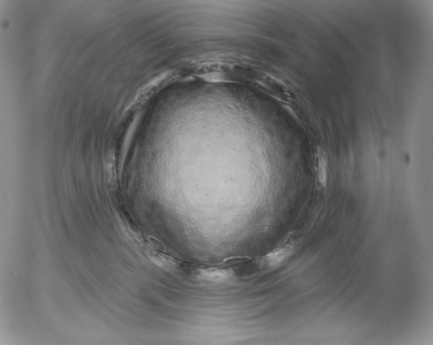 X0000053060283200508011922