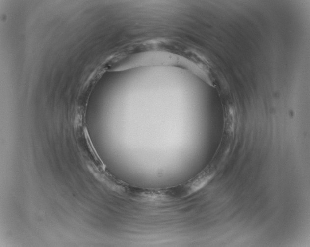 X0000053060284200508011922