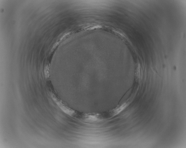 X0000053060285200508011922