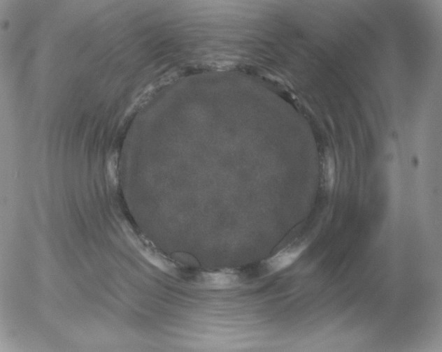 X0000053060286200508011922