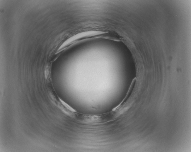 X0000053060288200508011922