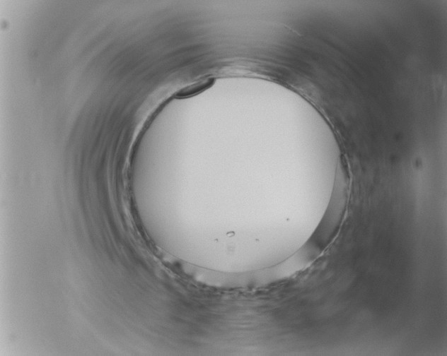 X0000053060289200508011921