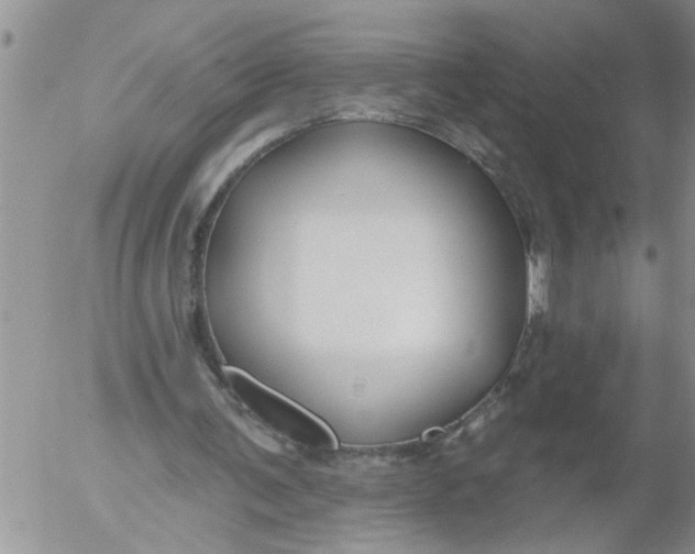 X0000053060291200508011921