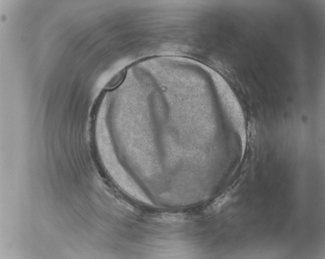 X0000053060292200508011921