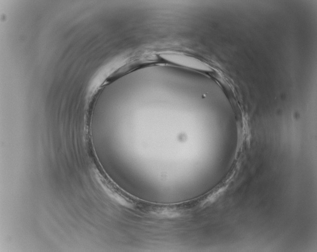 X0000053060293200508011921