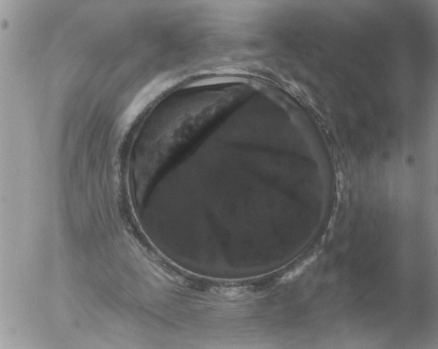 X0000053060295200508011921