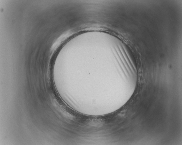 X0000053060296200508011921