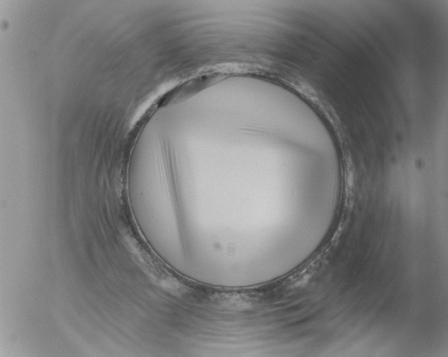 X0000053060297200508011921