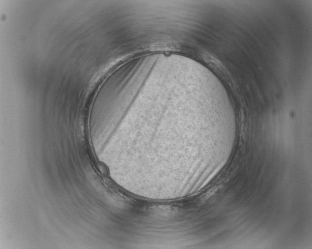 X0000053060298200508011921