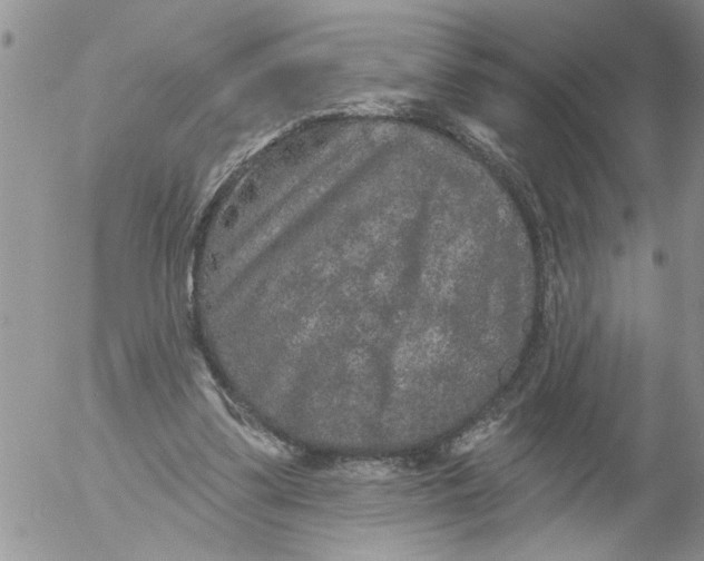 X0000053060299200508011921