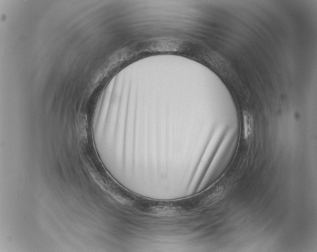 X0000053060300200508011921