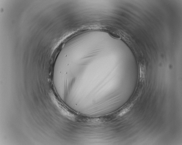 X0000053060301200508011921