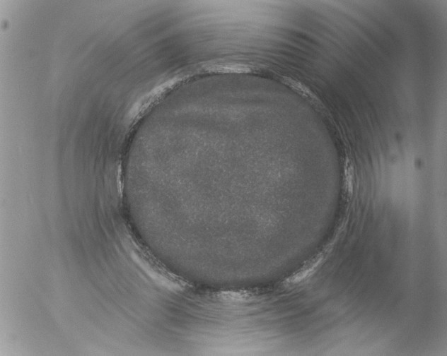 X0000053060302200508011921