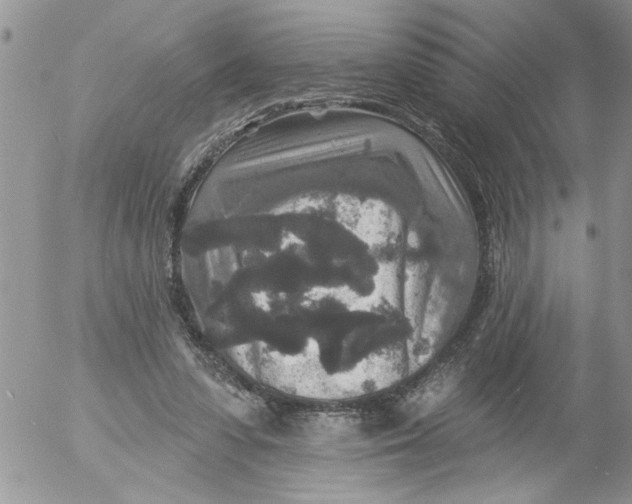 X0000053060303200508011921