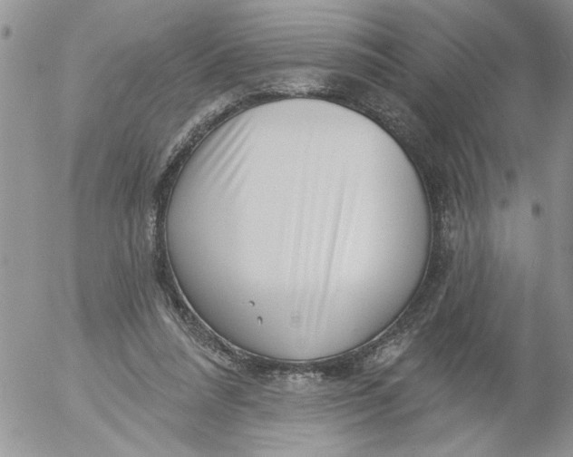 X0000053060304200508011921