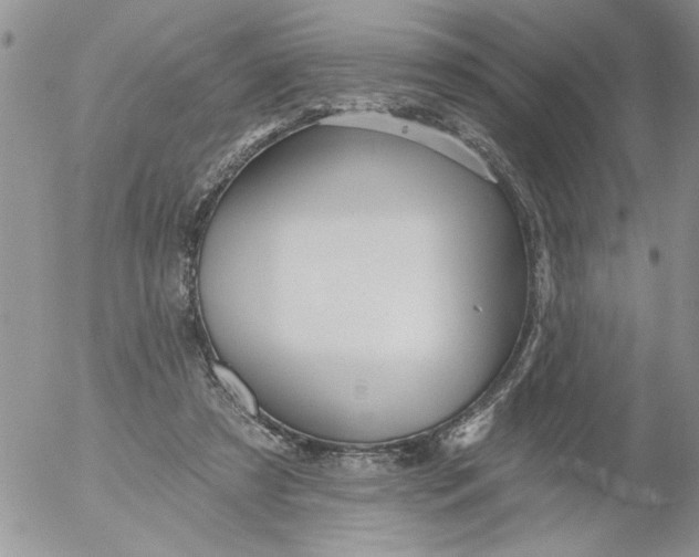 X0000053060305200508011921