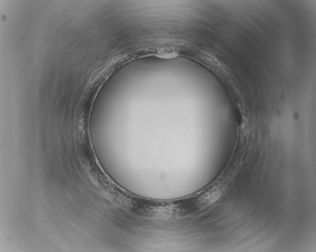 X0000053060306200508011921