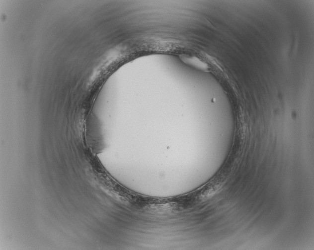 X0000053060307200508011921