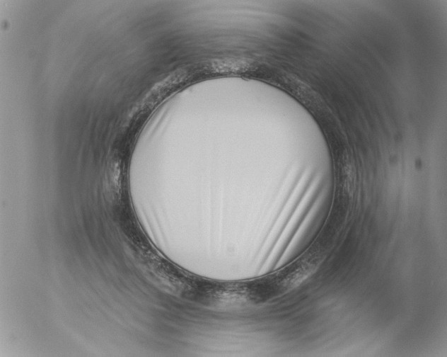 X0000053060308200508011921