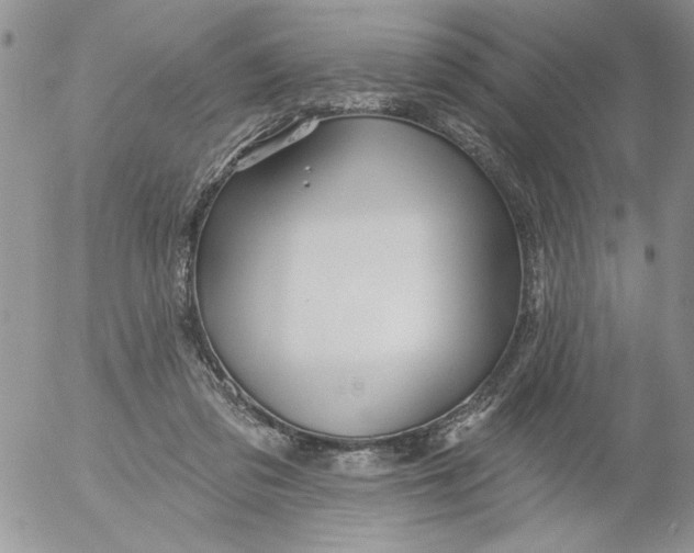 X0000053060309200508011921