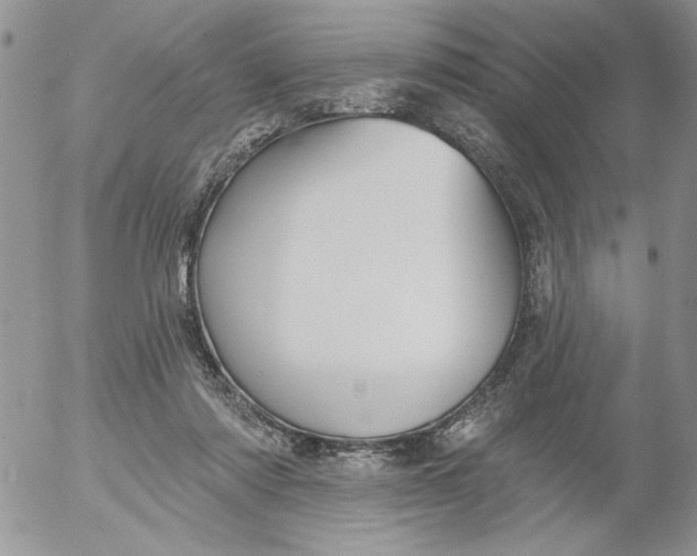 X0000053060310200508011921