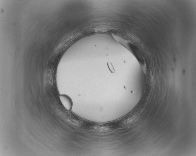 X0000053060311200508011921