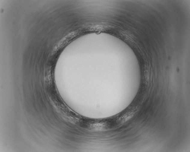 X0000053060312200508011921