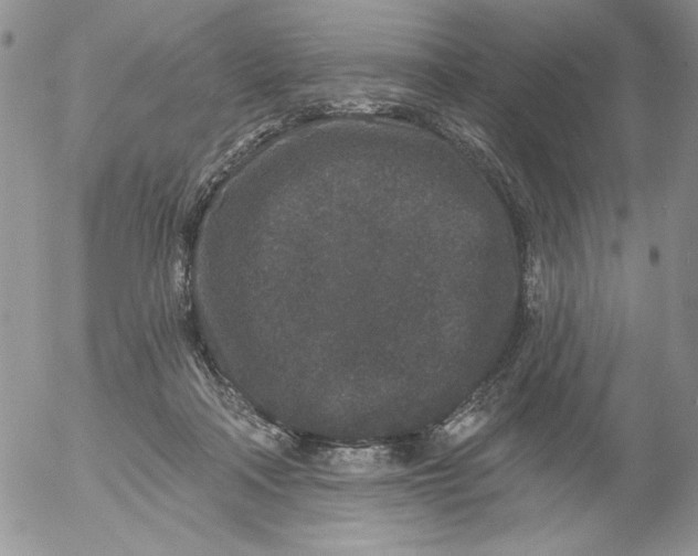 X0000053060314200508011921