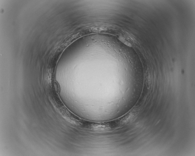 X0000053060315200508011921