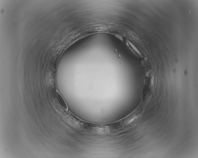 X0000053060317200508011921