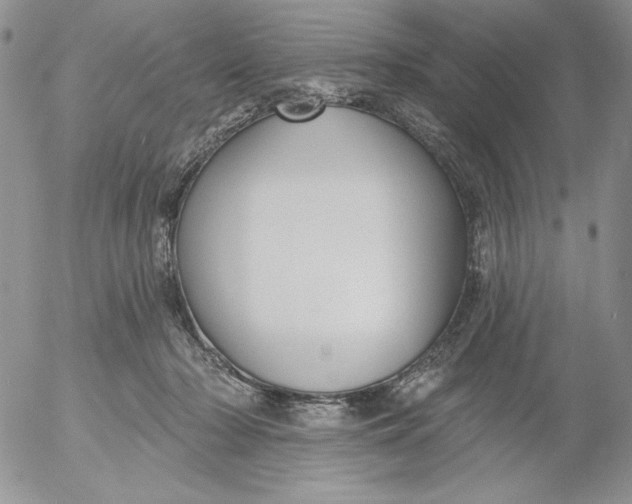 X0000053060318200508011921