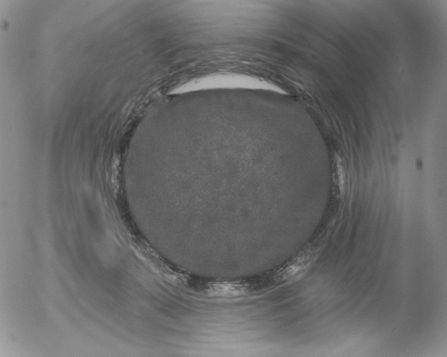 X0000053060319200508011921