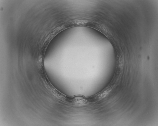 X0000053060321200508011921