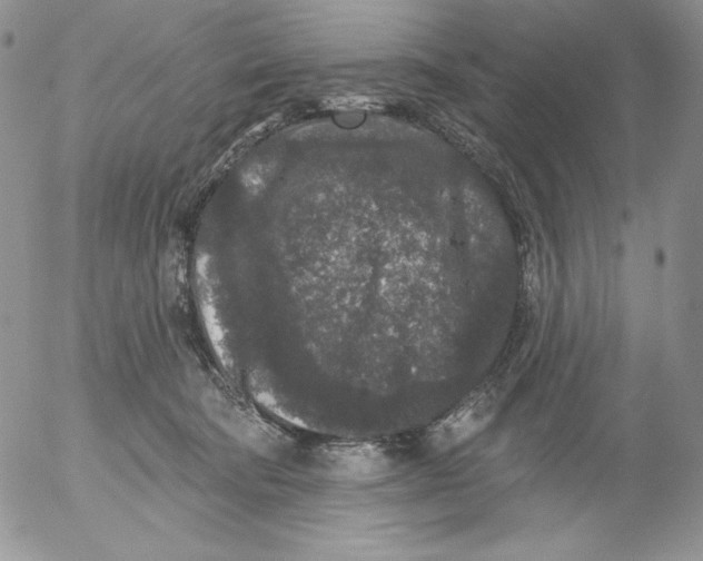 X0000053060322200508011921