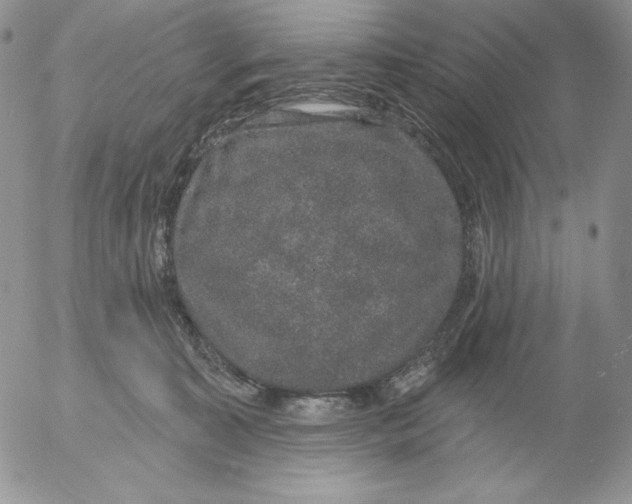 X0000053060323200508011921