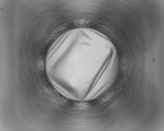 X0000053060324200508011921