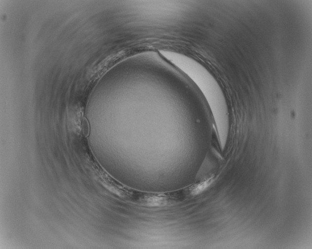 X0000053060325200508011921