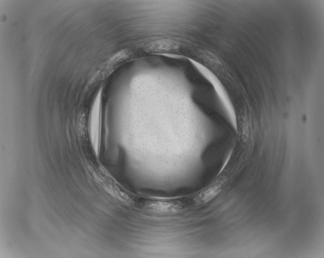 X0000053060326200508011920