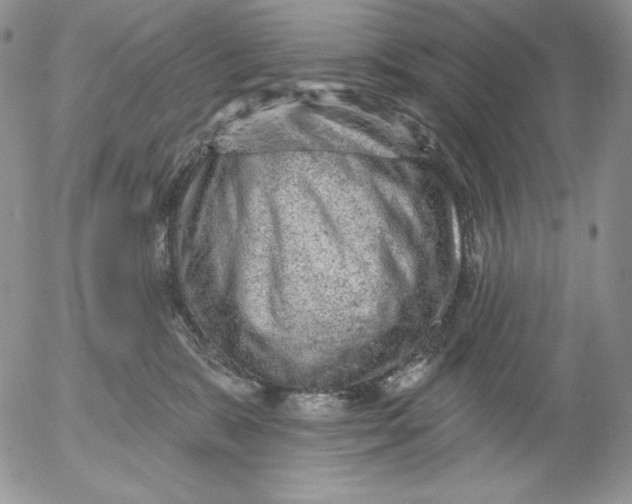 X0000053060327200508011920