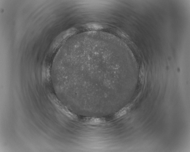 X0000053060330200508011920