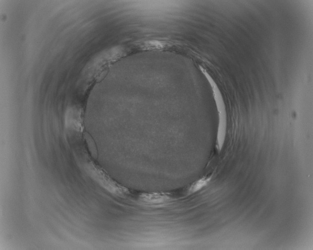 X0000053060331200508011920