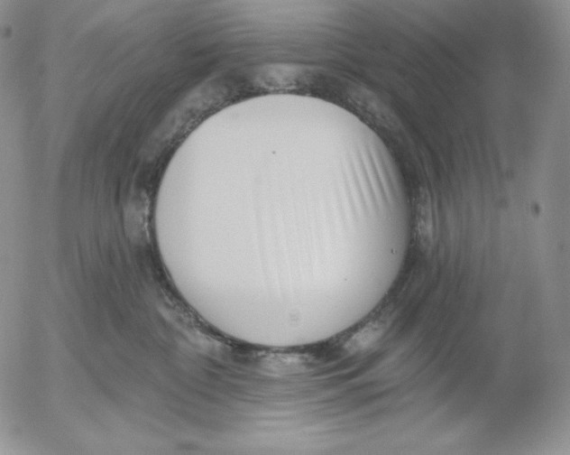 X0000053060332200508011920